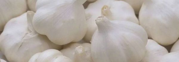 大蒜皮泡脚的功效