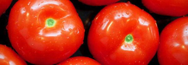 带鱼能和西红柿一起吃吗