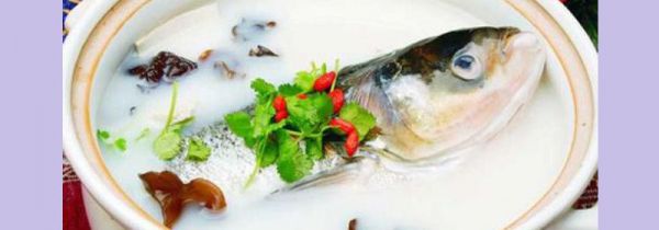 煮鱼汤用热水还是冷水