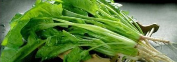 菠菜可以和黄瓜一起吃吗?