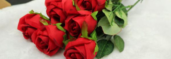 玫瑰花泡脚禁忌