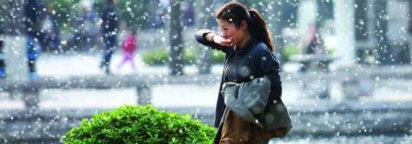 屋里柳絮怎么清理