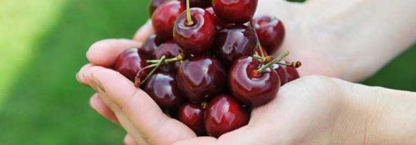 樱桃的营养价值及功效和禁忌