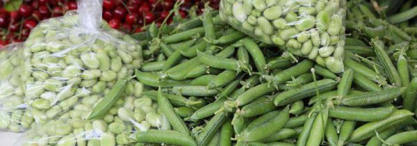 怎样保存蚕豆到冬天