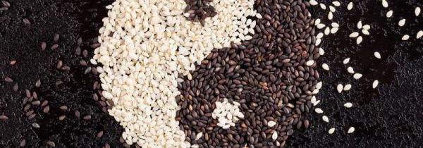 芝麻怎么打粉不成坨