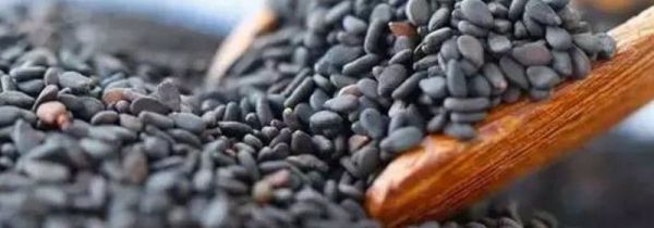 黑芝麻不炒可以煮粥么