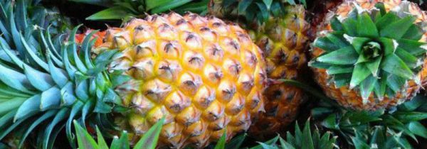 凤梨的功效与作用及禁忌