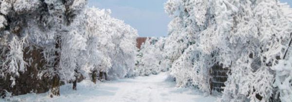 为什么下雪不冷,化雪冷