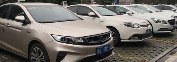 怎么防止麻雀往车上拉粪