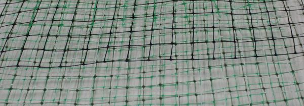 怎么防止麻雀吃种子