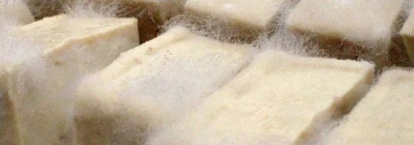 晒豆腐干长毛了怎么办