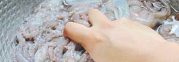 怎么处理八爪鱼