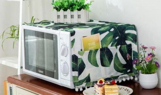 家电辐射最强的十大电器，用哪些植物可消除