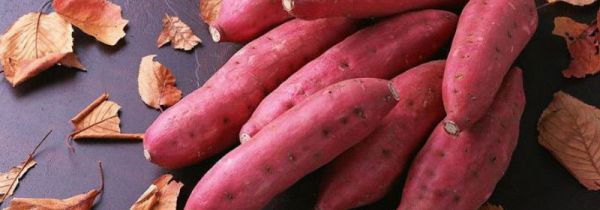 微波炉烤红薯用什么火