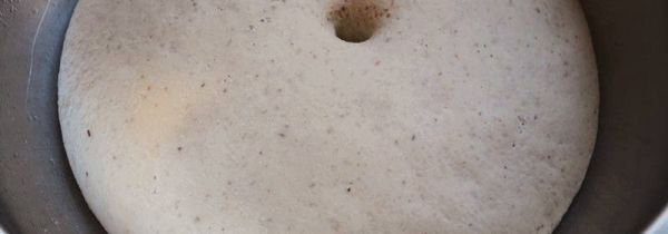 怎样用白酒发面粉做馒头