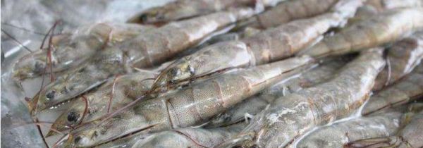 冻虾多长时间就不能吃了