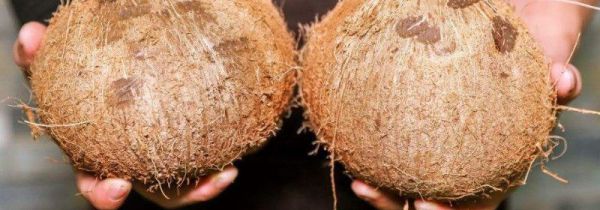 椰子壳怎样打磨光亮