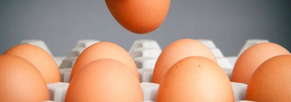 鸡蛋是大头向下还是小头向下储存