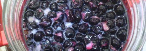 嘉宝果可以泡酒吗