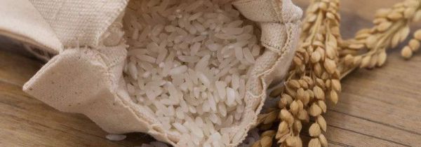 大米生虫还能吃吗