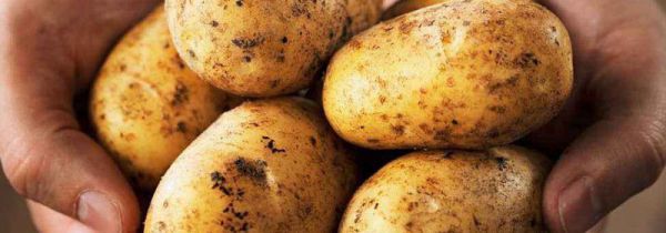 土豆和虾仁能一起吃吗