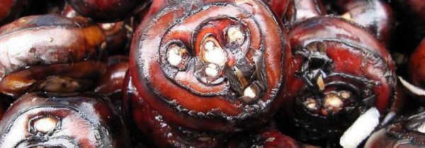 马蹄和牛奶可以一起食用吗