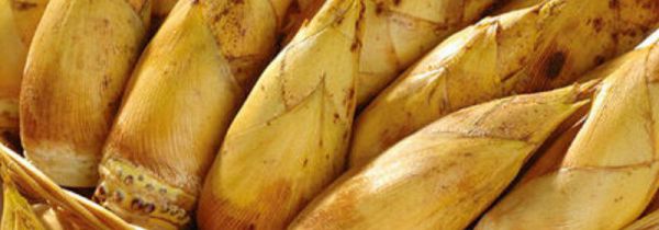 毛竹笋的腌制方法