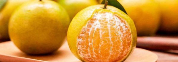 苹果不能和什么水果一起吃