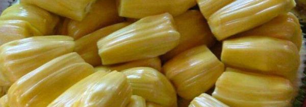 菠萝蜜打开后能放多久