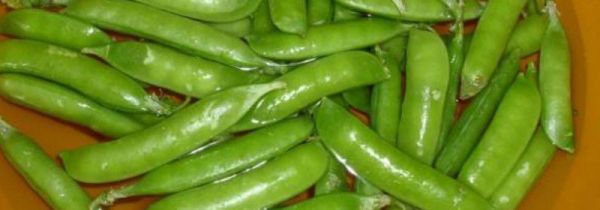 豌豆角煮多长时间能熟