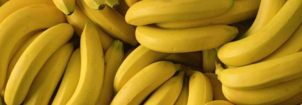 香蕉为什么不能放冰箱