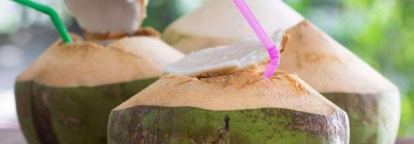 椰子的功效与作用
