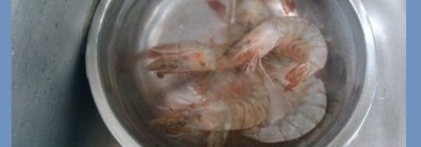 买的活虾怎么处理干净