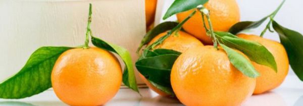 桔子和橘子的区别是什么