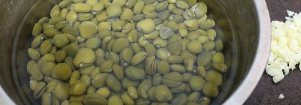 榄钱的功效和药用价值