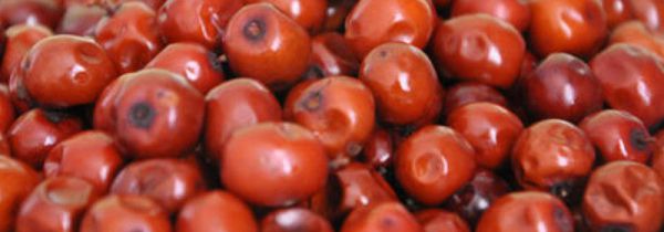 吃酸枣的好处和坏处