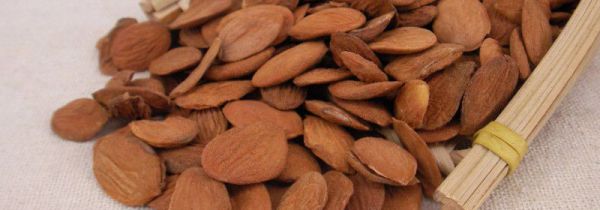 桃仁和杏仁的功效与作用