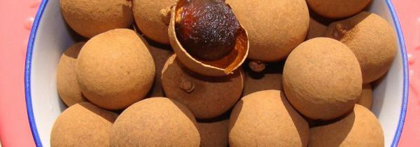 桂圆壳泡水有什么功效