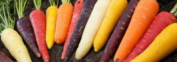 白萝卜不宜与7种食物一起吃