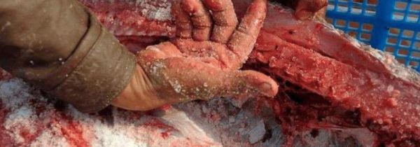 腌鱼晒干有臭味怎么办