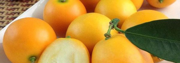 脆皮金桔有什么功效