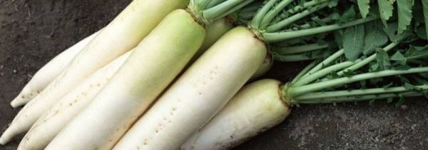 白萝卜空花心了还可食用吗