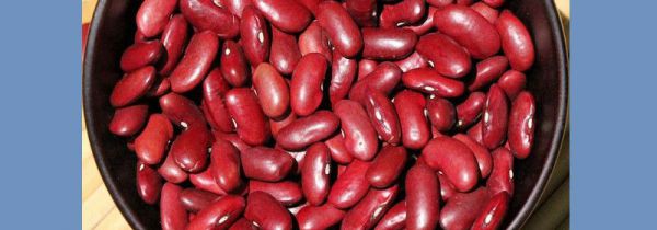 腰豆的功效与作用及食用方法