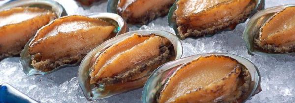 鲍鱼可以冷冻储存吗