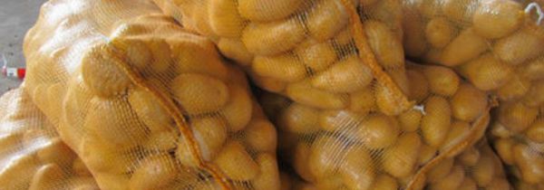 土豆怎么保存不发芽不发绿