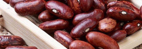 花腰豆的功效与作用及食用方法