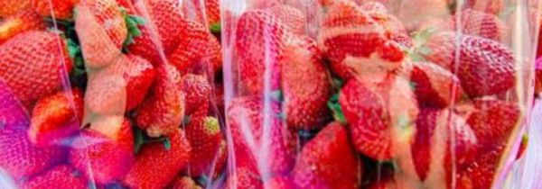 新鲜草莓怎样长时间保存