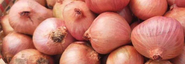 生吃毛葱的功效与作用