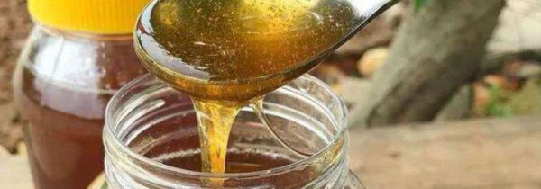 吃土蜂蜜的禁忌