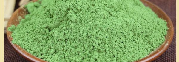 大麦苗粉的禁忌